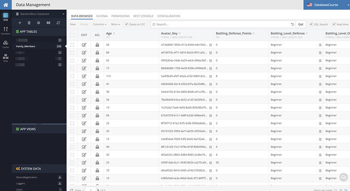 Data Browser - DatabaseCourse - Backendless 2023-02-09 19-25-49