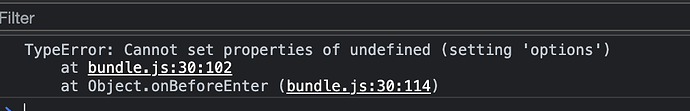 TypeError Cannot set properties of undefined (setting 'options')