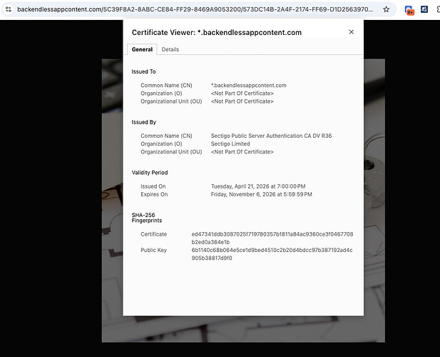 Certificate Viewer: *.backendlessappcontent.com 2026-04-28 11-29-49